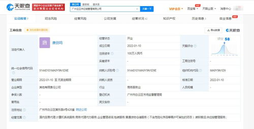廣告設計的藝術(shù)與策略 從概念到溝通的創(chuàng)意之旅